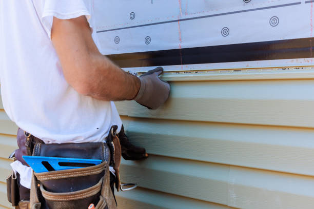 Affordable Siding Repair solutions in Morrison, IL